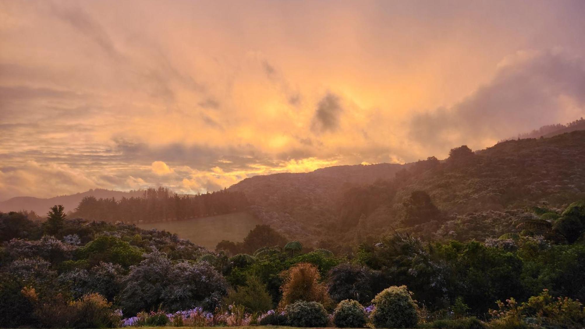 Boutique Art Retreat Hotel อัปเปอร์ฮัทท์ ภายนอก รูปภาพ
